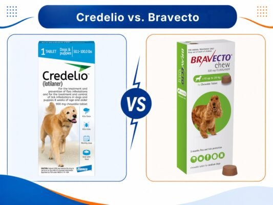 Credelio and Bravecto chewable tablets shown side by side.