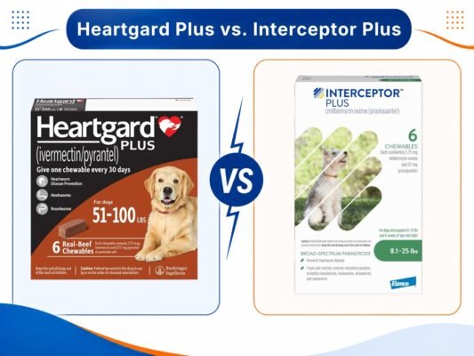 Comparing Heartgard Plus and Interceptor Plus as monthly heartworm and intestinal parasite prevention products.
