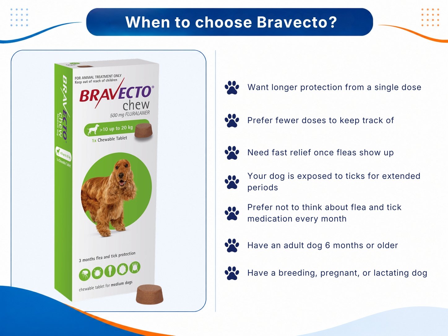 Listing reasons to choose Bravecto, including longer protection, fewer doses, fast flea relief, and extended tick control.