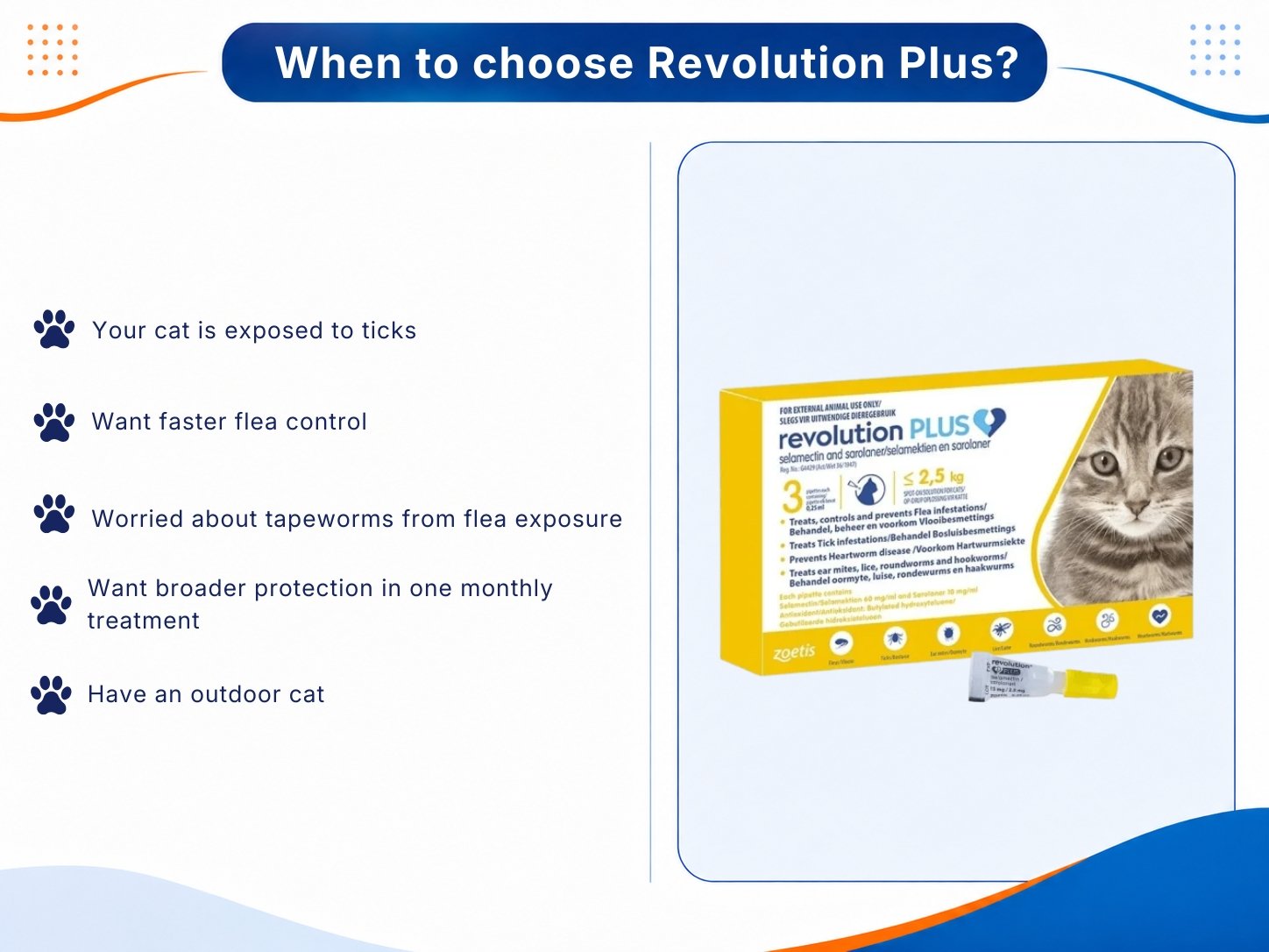 Revolution Plus with five reasons to consider it.