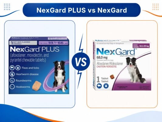 Comparing NexGard PLUS and NexGard.