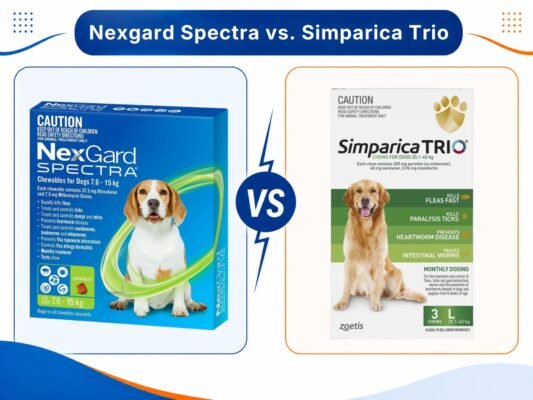 NexGard Spectra and Simparica Trio compared for dogs.