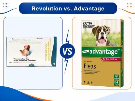 revolution-vs-advantage