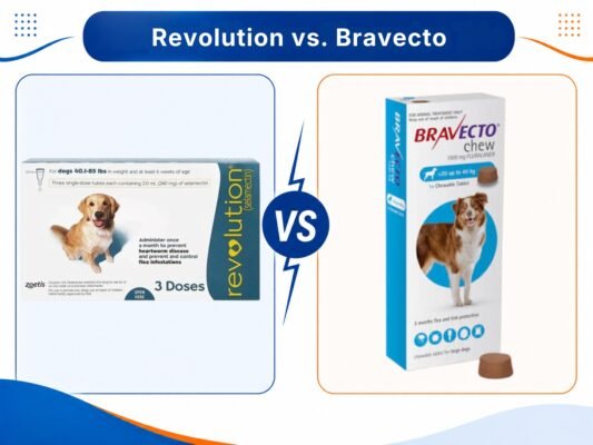 Revolution and Bravecto are shown side by side as dog parasite prevention products.