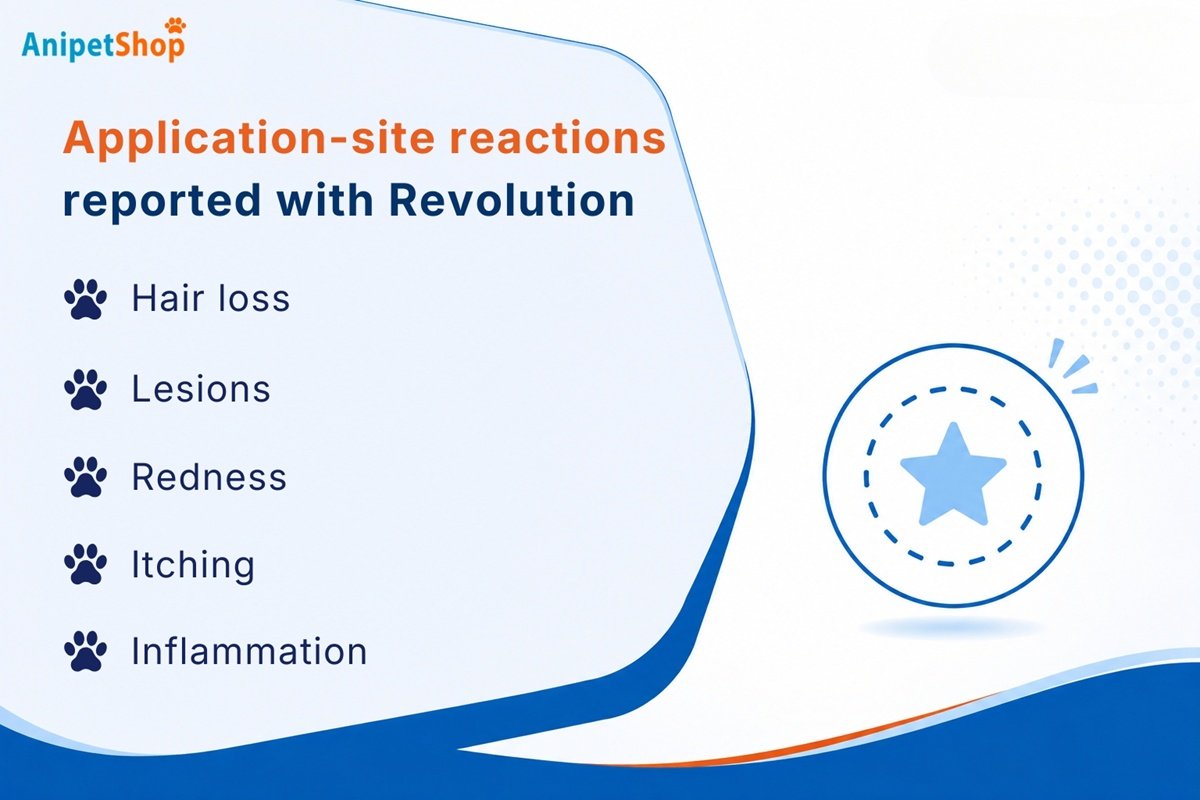 revolution application site reactions